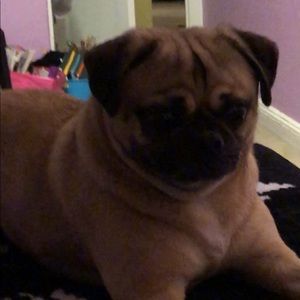 Meet your Posher, Mariah